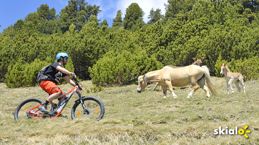 cosa fare in estate a Livigno prova una ebike